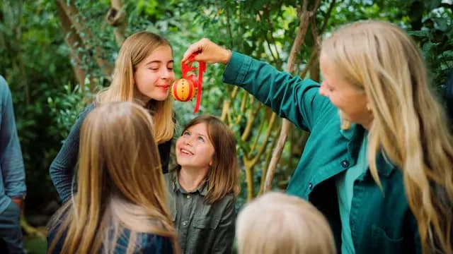 Julens planter – en familierundvisning i Botanisk Have