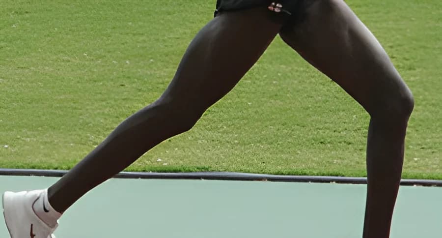 Lufthavnen Rundt 2026