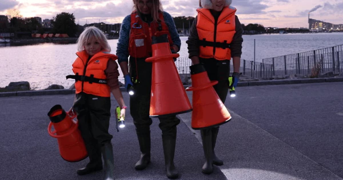 Aften-waderstur for hele familien – guidet tur