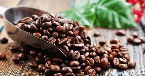 Livestreamet naturvidenskab: Kaffe