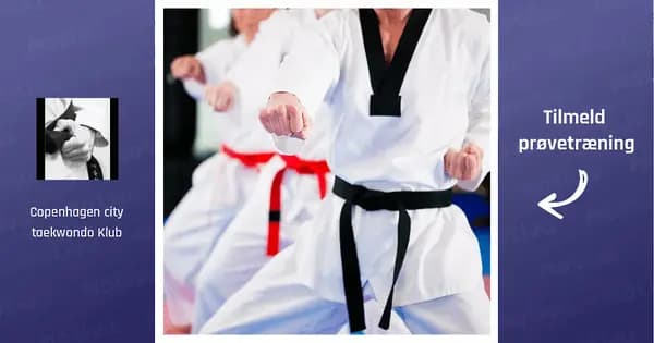 Taekwondo for begyndere (5-12 år)