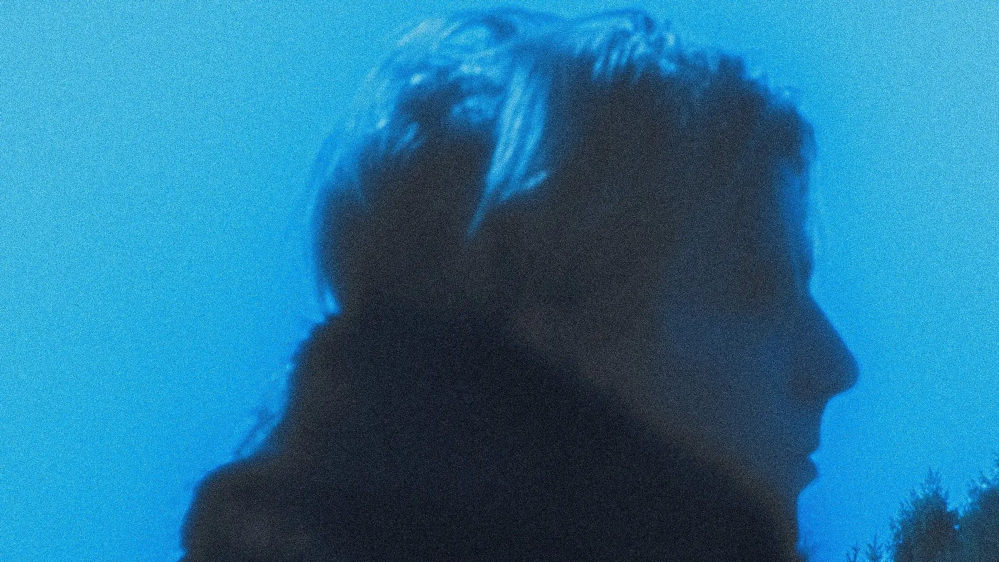 Holdo (DK) live