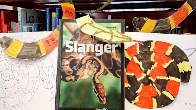 Slangeuroer – kreaværksted