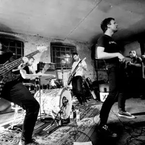 Oplev Tvivler live