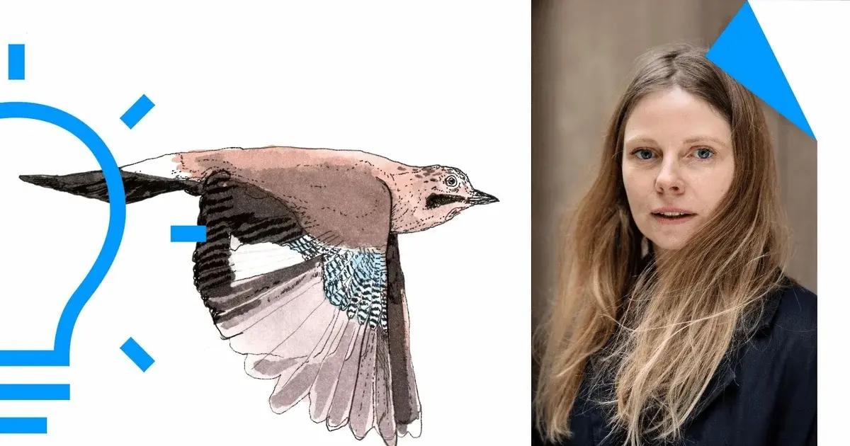 Tegn fugle med Signe Parkins – tegneworkshop for voksne